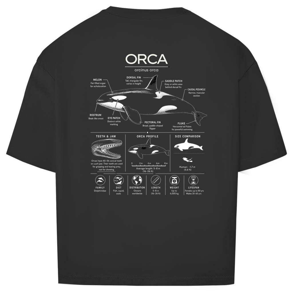 ORCINUS ORCA