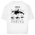ORCINUS ORCA