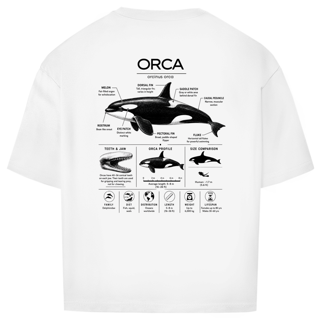 ORCINUS ORCA