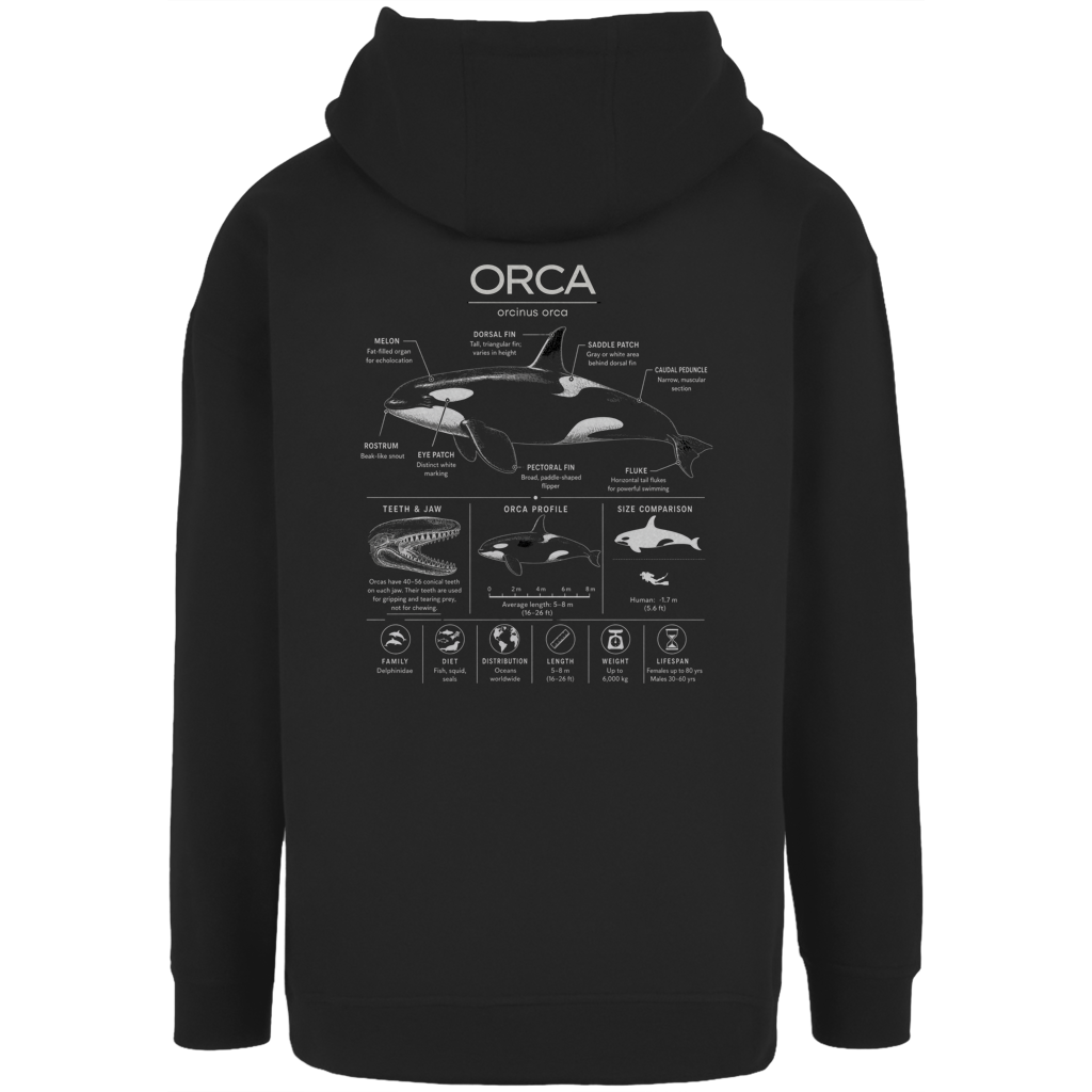 ORCINUS ORCA