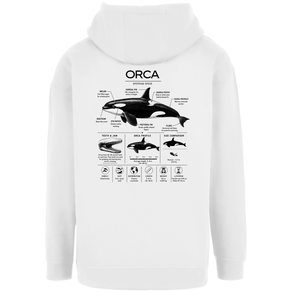 ORCINUS ORCA